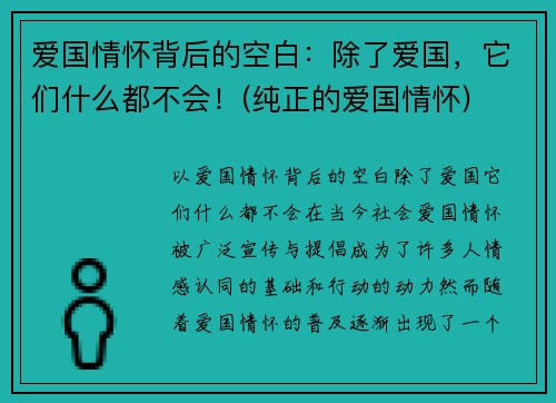 爱国情怀背后的空白：除了爱国，它们什么都不会！(纯正的爱国情怀)